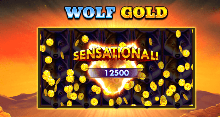 Cara bermain slot Wolf Gold